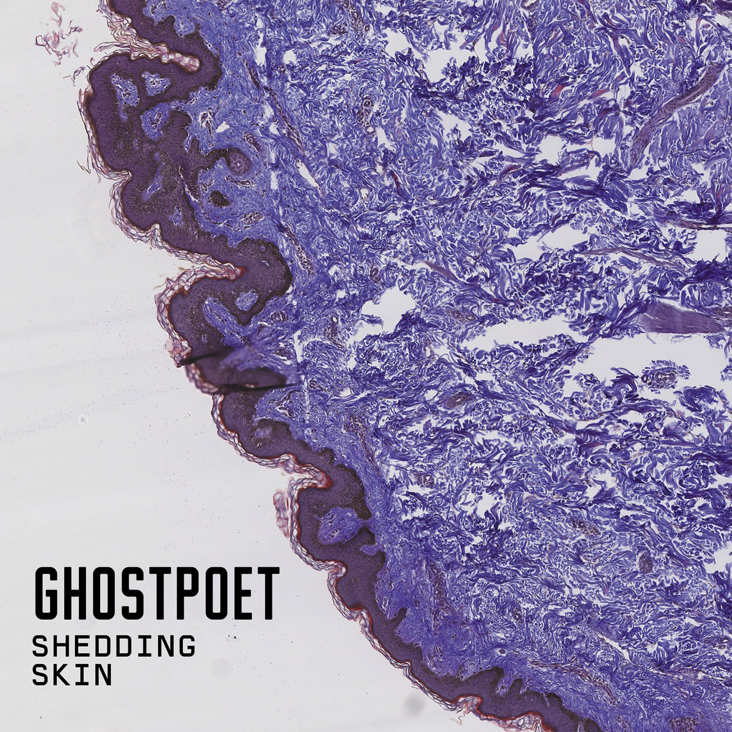 Ghostpoet ‎– Shedding Skin